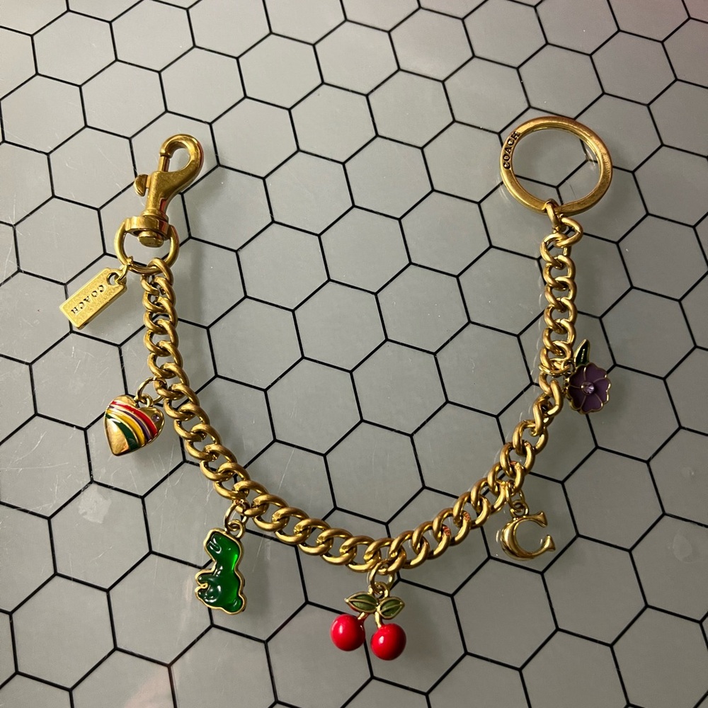 Coach bag charm